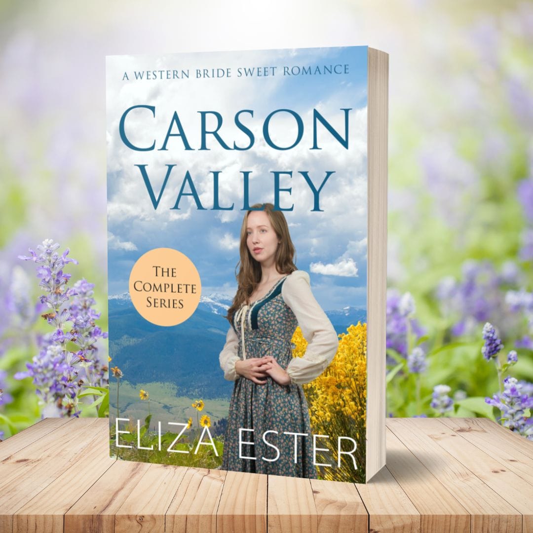 Carson Valley Series (PAPERBACK) - Paperback - Wendy Meadows