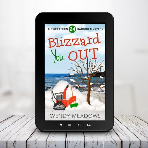 Cozy Mystery Blizzard You Out (EBOOK) - Cozy Mystery - Wendy Meadows
