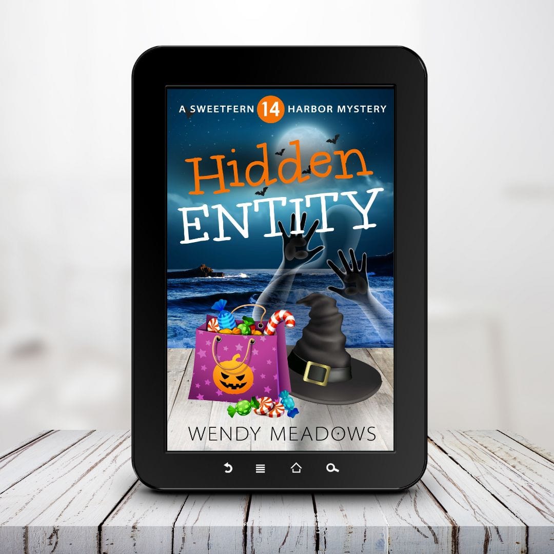 Cozy Mystery Hidden Entity (EBOOK) - Cozy Mystery - Wendy Meadows