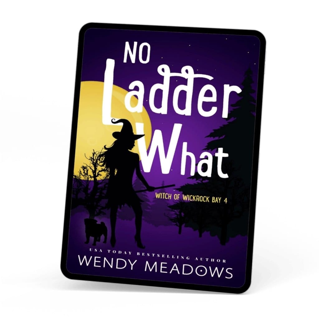 Paranormal Cozy Mystery No Ladder What (EBOOK) - Wendy Meadows